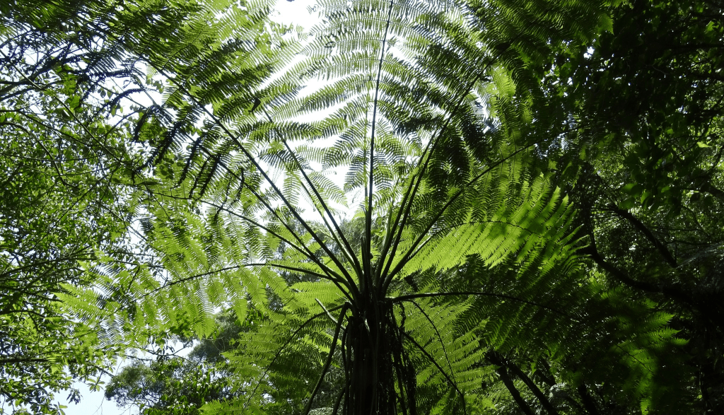 image 18