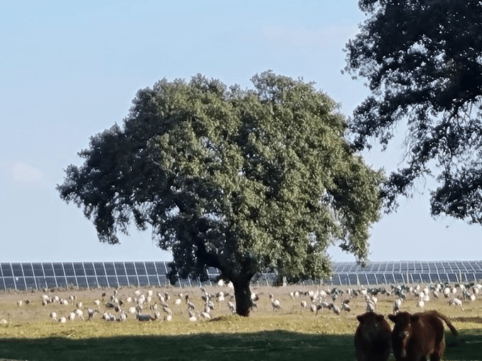 UNEF presenta la IV Cumbre de Autoconsumo y Comunidades Energéticas 11 image 24
