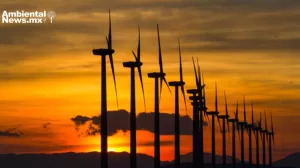 ANWEB AMLO y la autosuficiencia energetica en Mexico