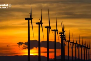 ANWEB AMLO y la autosuficiencia energetica en Mexico