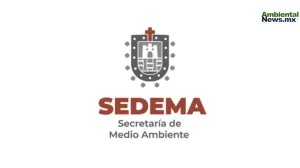 Avanza transformación ambiental en la Ciudad de México: entrevista con Marina Robles