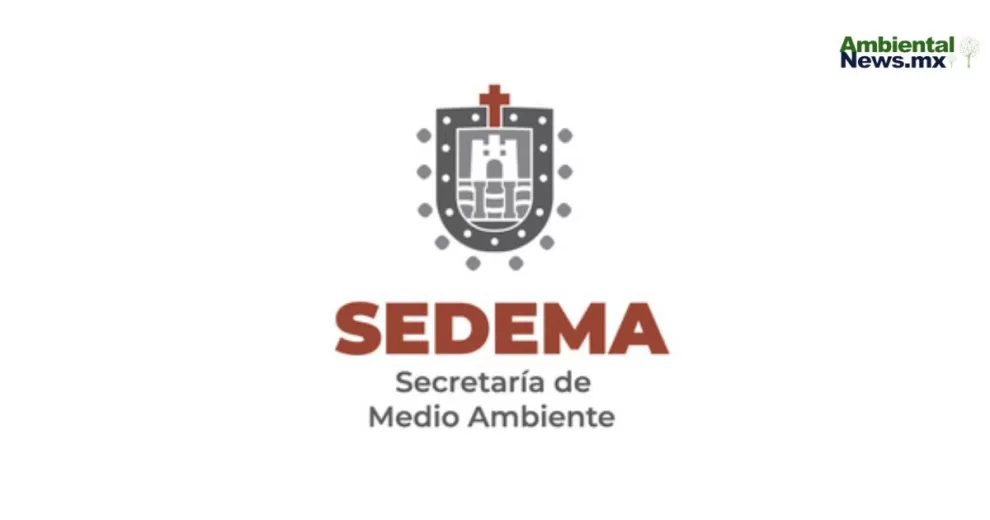 Avanza transformación ambiental en la Ciudad de México: entrevista con Marina Robles