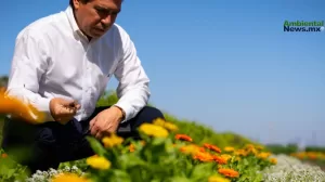 Bee Project: PepsiCo cultiva esperanza para las abejas y la biodiversidad