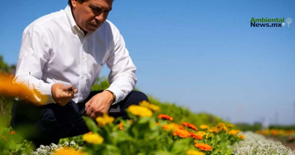 Bee Project: PepsiCo cultiva esperanza para las abejas y la biodiversidad 10 Bee Project: PepsiCo cultiva esperanza para las abejas y la biodiversidad