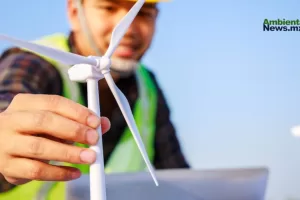 ANWEB CCI France Mexico destaca energias limpias como clave para la inversion empresarial en Mexico