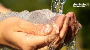 Demanda comisión de recursos hidráulicos plan emergente contra contaminación de agua