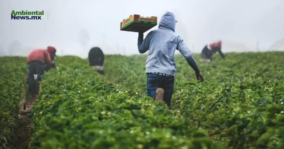ANWEB Dia Internacional de la Oposicion a los Transgenicos 2024 Alerta sobre los Peligros
