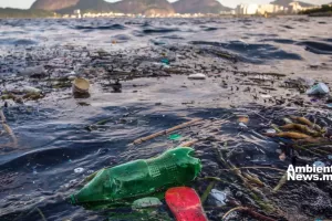 ANWEB El 69 de las aguas del planeta contaminadas por sustancias quimicas persistentes