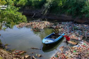 ANWEB El ecocidio sera juzgado mediante el Derecho penal en la Union Europea
