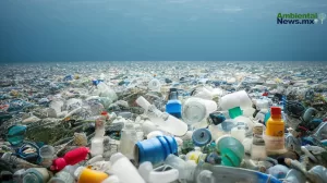 ANWEB Espana aboga por control de pelets de plastico en conferencia de la ONU tras incidente en playas gallegas