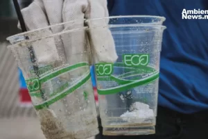 ANWEB Europa toma medidas contra el greenwashing en las empresas