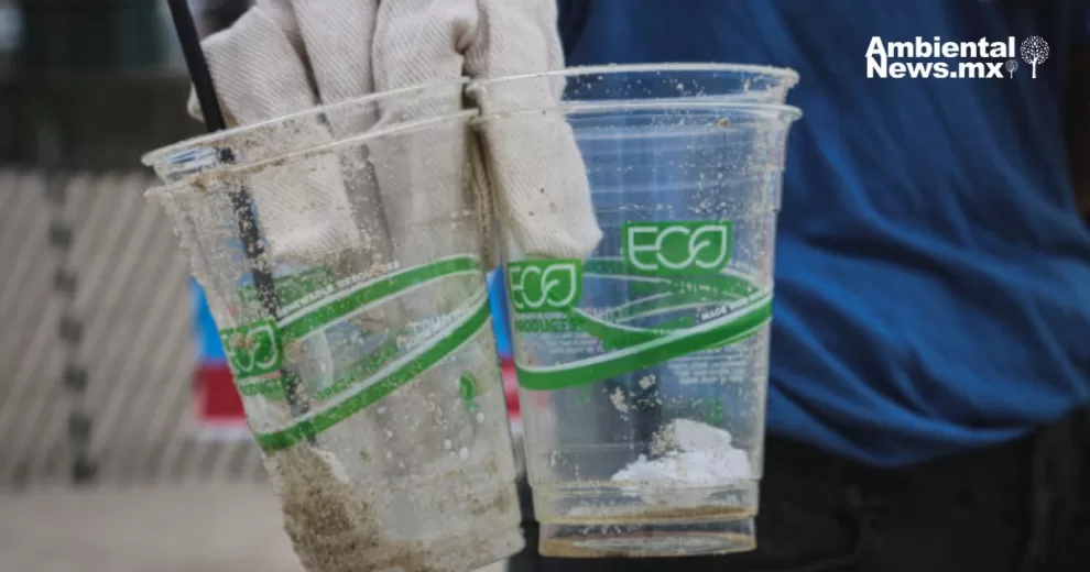 ANWEB Europa toma medidas contra el greenwashing en las empresas