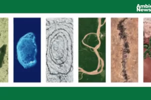 ANWEB Google celebra el Dia de la Tierra 2024 con un doodle interactivo