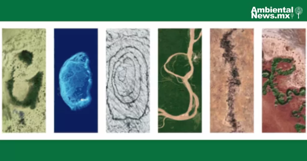 ANWEB Google celebra el Dia de la Tierra 2024 con un doodle interactivo