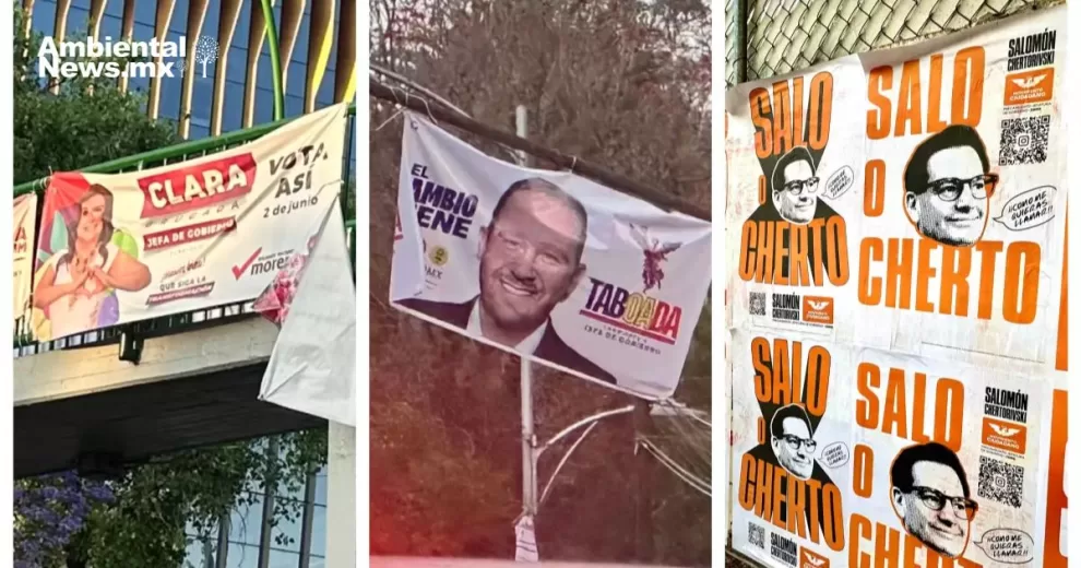 ANWEB Greenpeace insta a candidatos a reducir la basura electoral