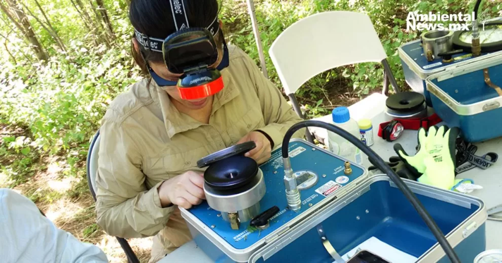 ANWEB Investigadores en Sonora miden el potencial hidrico de las plantas para combatir el cambio climatico