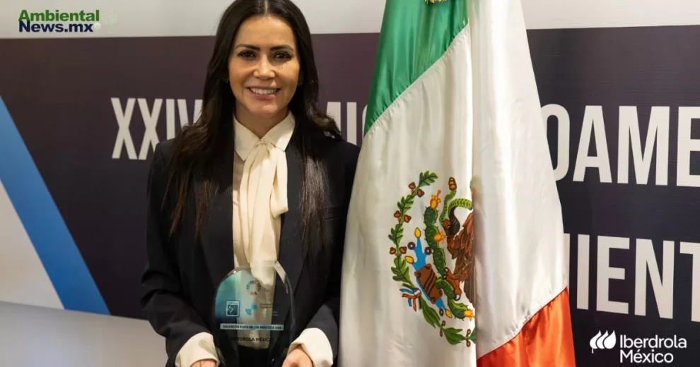 ANWEB Katya Somohano liderara Iberdrola Mexico con enfoque en energias limpias