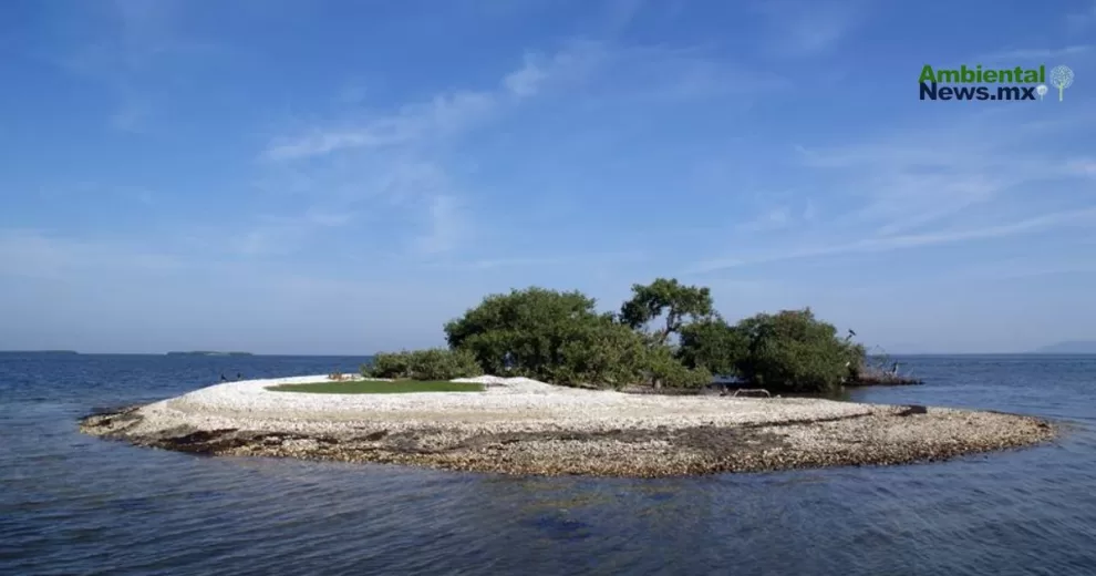 ANWEB La UAS investiga la de flora y fauna en el archipielago de la bahia Santa Maria