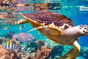 ANWEB La importancia de la Biodiversidad Mas que una definicion