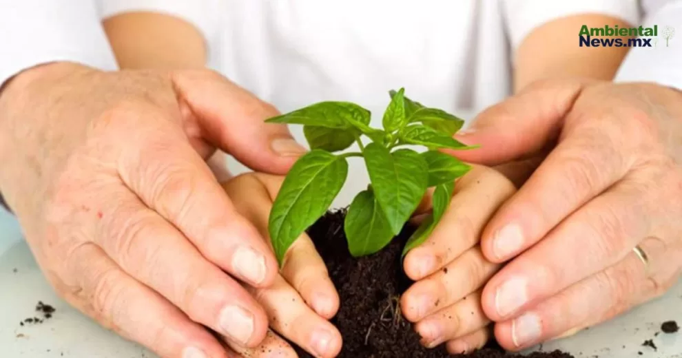 México y el desafío de proteger a los defensores ambientales