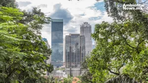 ANWEB Pequenos Bosques Urbanos Una Innovadora Solucion para las Grandes Ciudades