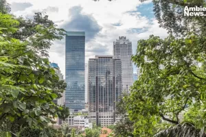 ANWEB Pequenos Bosques Urbanos Una Innovadora Solucion para las Grandes Ciudades