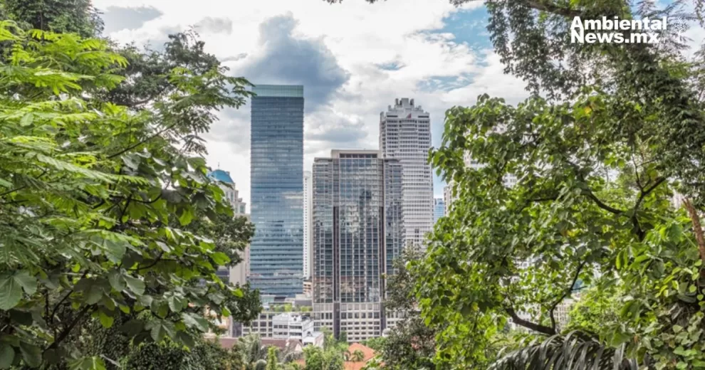 Pequeños Bosques Urbanos: Una Innovadora Solución para las Grandes Ciudades 10 ANWEB Pequenos Bosques Urbanos Una Innovadora Solucion para las Grandes Ciudades