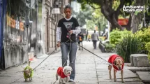 ANWEB Realizan recorrido perruno en celebracion de la Nueva Ley de Proteccion Animal en la CDMX