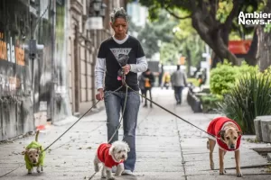 ANWEB Realizan recorrido perruno en celebracion de la Nueva Ley de Proteccion Animal en la CDMX