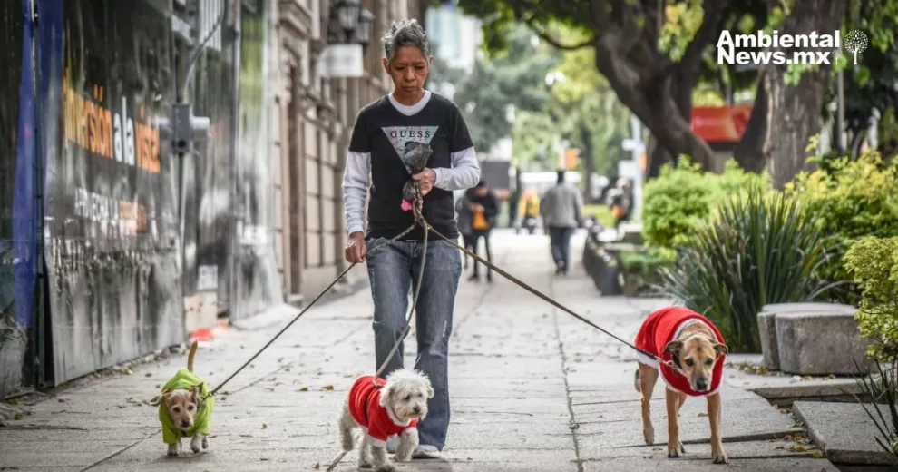 Realizan recorrido perruno en celebración de la Nueva Ley de Protección Animal en la CDMX 10 ANWEB Realizan recorrido perruno en celebracion de la Nueva Ley de Proteccion Animal en la CDMX