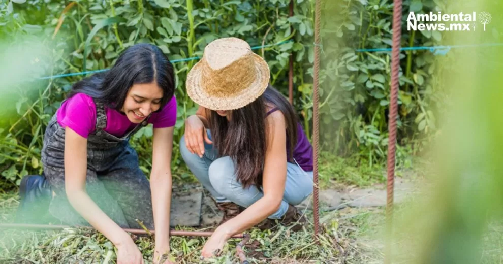 ANWEB Transformacion agroalimentaria y sostenibilidad Prioridad de la FAO