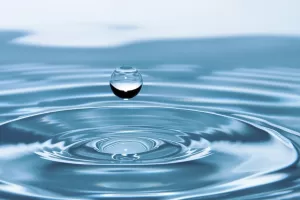 Gilberto Herrera denuncia aprobacion de Ley en Queretaro que permite el