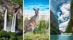 ANWEB 2 Los paises megadiversos Custodios de la riqueza natural del planeta