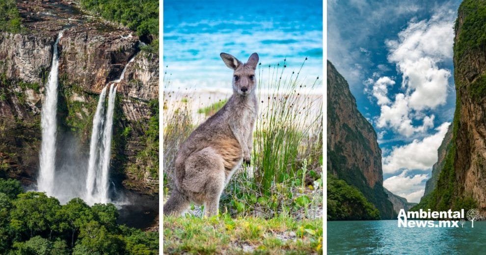 ANWEB 2 Los paises megadiversos Custodios de la riqueza natural del planeta