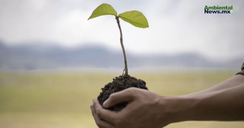 Abordando los desafíos ambientales en las campañas presidenciales