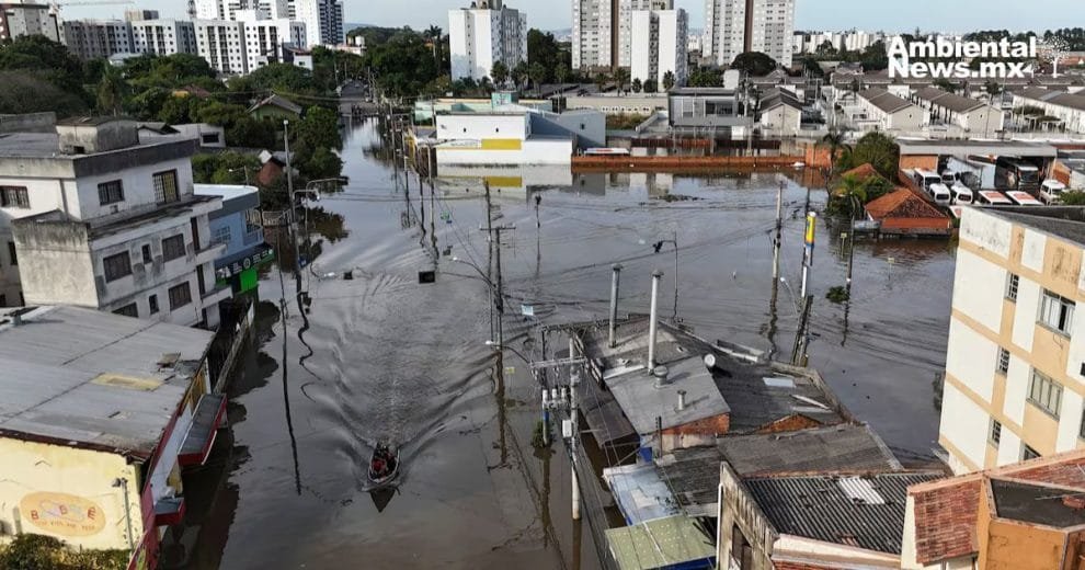 El sur de Brasil: devastación y cambio climático 10 El sur de Brasil: devastación y cambio climático