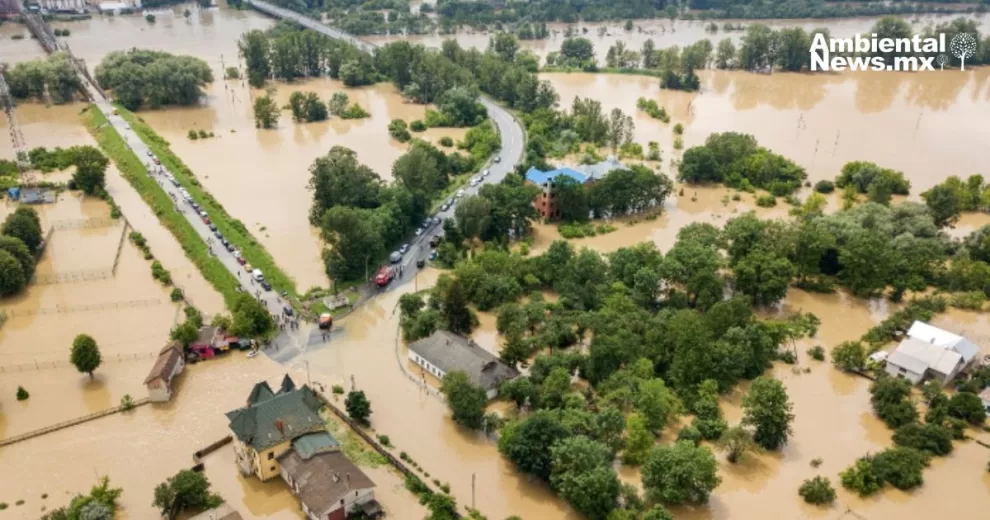 Grandes perturbaciones históricas y la resiliencia humana