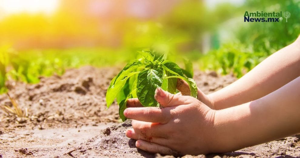 La urgencia de una agenda ambiental en México