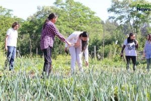 Protegiendo a los defensores del medio ambiente en México