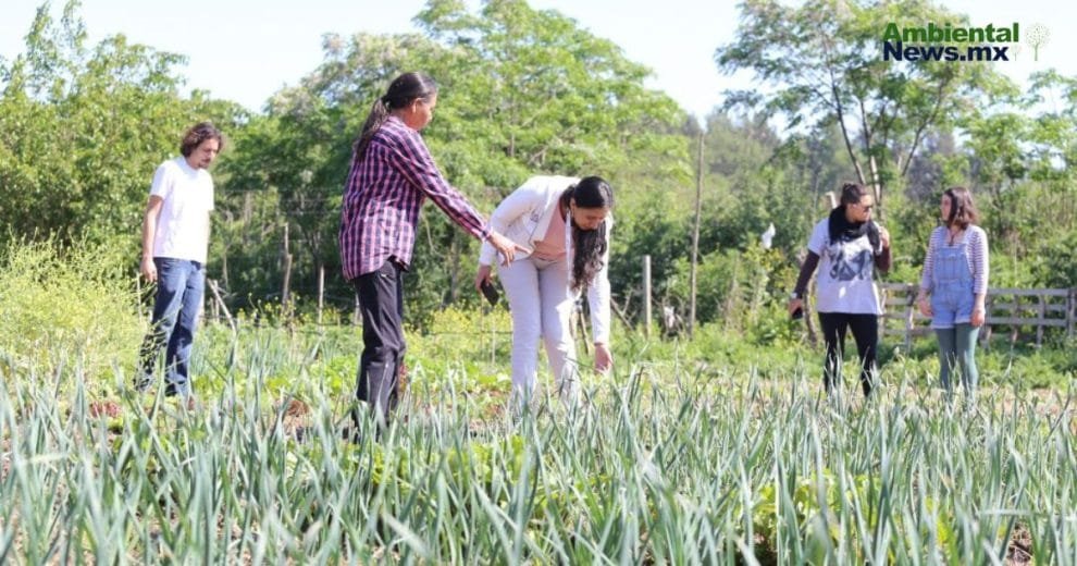 Protegiendo a los defensores del medio ambiente en México 10 Protegiendo a los defensores del medio ambiente en México