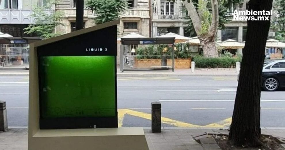 Revolucionando la ecología urbana: Argentina lidera con innovadores árboles líquidos