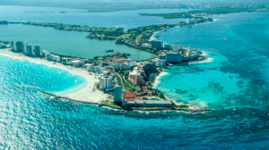 Falta de espacios naturales en Cancún impacta la presencia de aves urbanas
