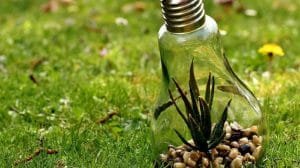 Los 5 consejos para cuidar el medio ambiente con ayuda de la tecnología