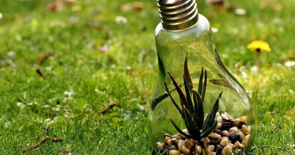 Los 5 consejos para cuidar el medio ambiente con ayuda de la tecnología