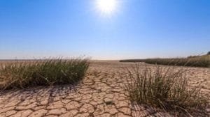 Tardará en llegar agua a la zona sur de Tamaulipas, aseguran Recursos Hidráulicos y Comapa