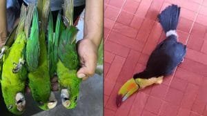 proyecto nuevo 28 20