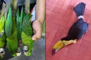 proyecto nuevo 28 20