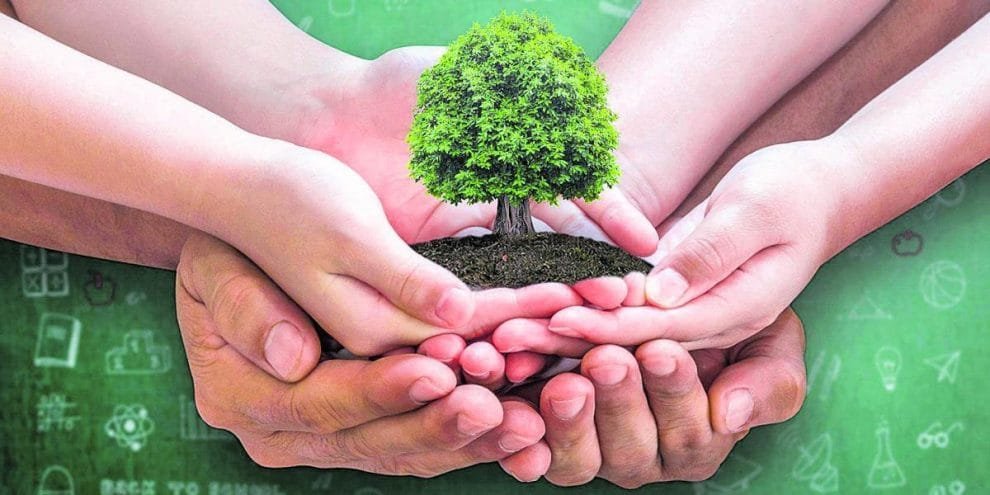 Día Mundial del Árbol: 7 razones por las que los árboles son esenciales en la ciudad