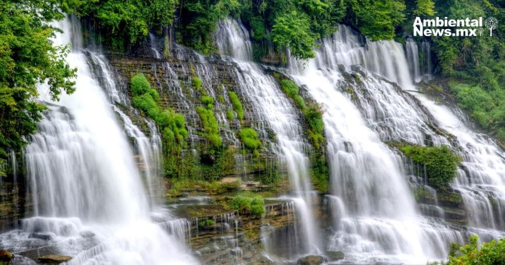 5 de junio: Día Mundial del Medio ambiente, estrategias globales para restaurar el planeta 10 5 de junio: día mundial del medio ambiente, estrategias globales para restaurar el planeta