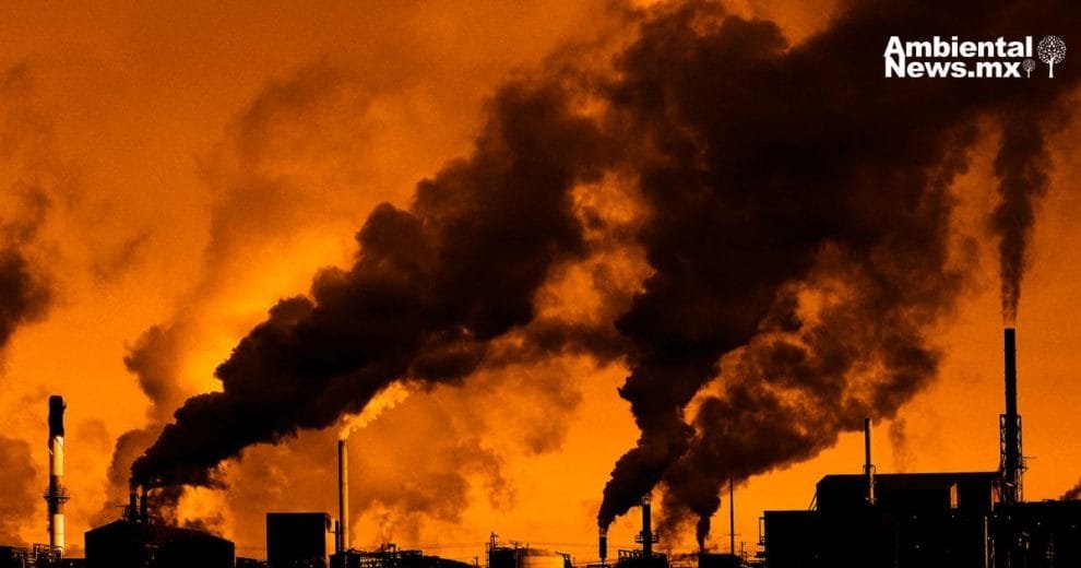 Créditos de carbono: un arma de doble filo en la lucha contra el cambio climático 11 Créditos de carbono: un arma de doble filo en la lucha contra el cambio climático